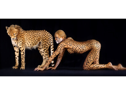 Lennette Newell, Cheetah 327, Tirage pigmentaire sur papier Hahnemühle Fine Art, 50 x 100 cm, Edition de 12 © Lennette Newell, 2011