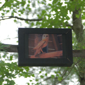 Nina Katchadourian. Courtesy of Aspen Art Museum