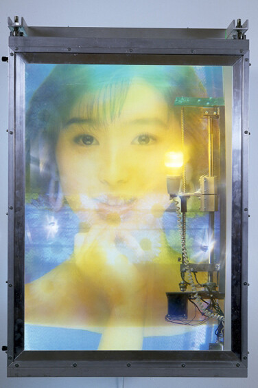 Art in the Age of the Internet, 1989 to Today. Courtesy of UMMA