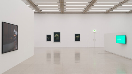 Martin Beck, Exhibition view. Courtesy of Mumok 