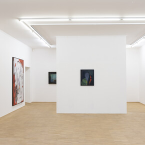 Ronny Delrue, Enigma, exhibition view. Courtesy of Nosbaum Reding