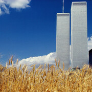 Agnes Denes, Wheatfield – A confrontation: battery park Landfill, Downtown Manhattan, 1982/2024. Courtesy of the Museum of Fine Arts