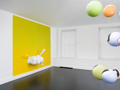 Installation view, Nancy Dwyer, January 20 - February 28th, 2015, Sandra Gering Inc, New York, NY