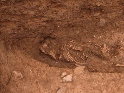 Sepoltura di epoca medievale rinvenuta nel sito di Oued Beht (foto: M. Cygan, Archivio OBAP)