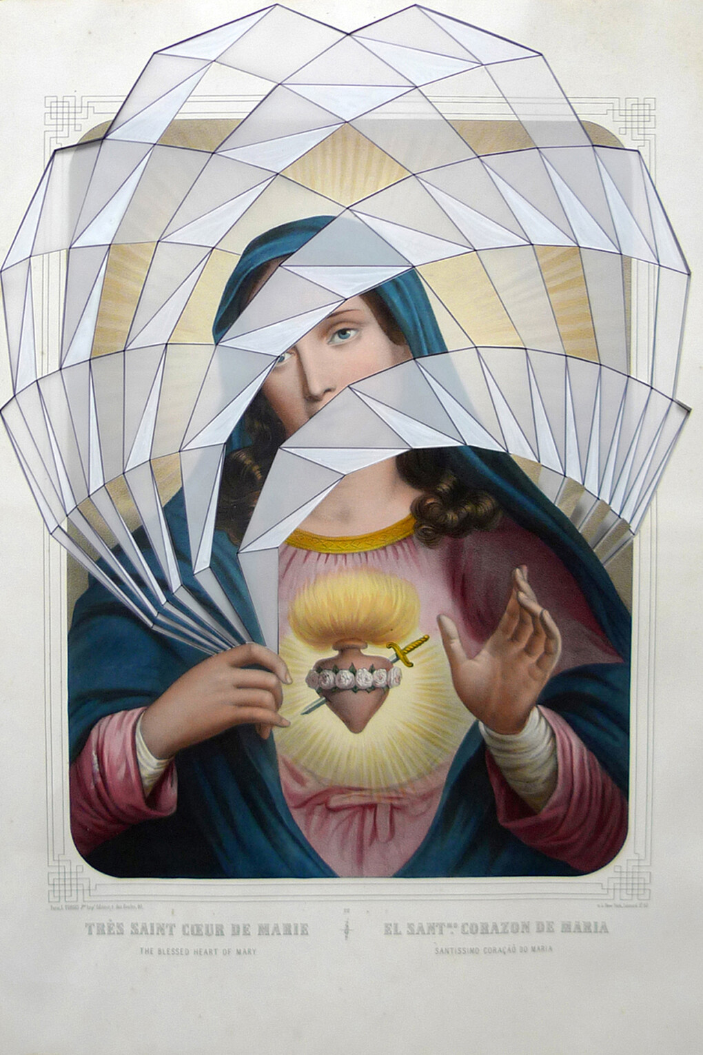 Reeve Schumacher, Chrysalide, 2013, Acrylique et encre sur papier calque et gravure ancienne du XIXème, 95 x 60 cm, Courtesy de l'artiste et LHOSTE Art Contemporain, Arles