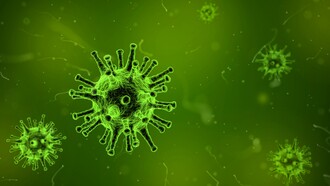 Acerca de los virus