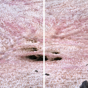 Thomas Wrede, Presena gletscher, blutschnee #1, 2020. Mit freundlicher genehmigung von Bernhard Knaus Fine Art