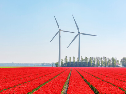 Wind turbines in the tulip fields, Lelystad, Netherlands