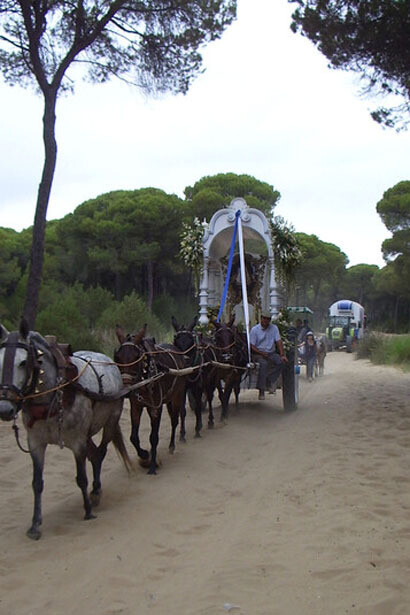 Simpecado cruzando el Coto de Doñana, camino de vuelta de El Rocío, Huelva, España