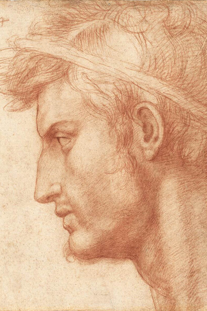 Andrea del Sarto (1486–1530) Study for the Head of Julius Caesar (detail), ca. 1520 Red chalk 8 7/16 x 7 1/4 inches The Metropolitan Museum of Art, New York © The Metropolitan Museum of Art. Image source: Art Resource, NY