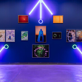 Vari artisti, C'era una volta. Visioni del cielo e della terra, vista dell'esposizione. Con la cortesia della Pinacoteca