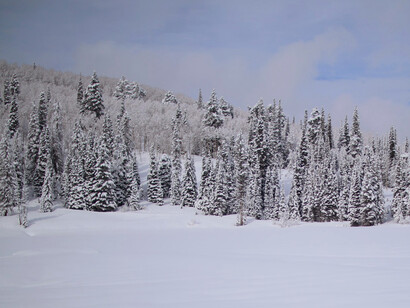 Incluso cuando el llanto quebró el silencio, los copos no dejaron de caer