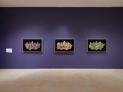 Enzo Camacho and Ami Lien, Offerings for Escalante, exhibition view. Courtesy of MoMA PS1