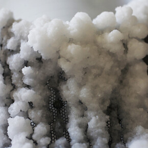 Charlotte Charbonnel