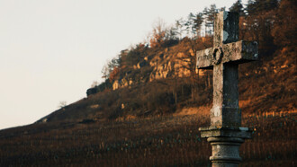 Trascendencia del ser: la muerte es la transformación de las estructuras que te impulsa hacia la siguiente vida