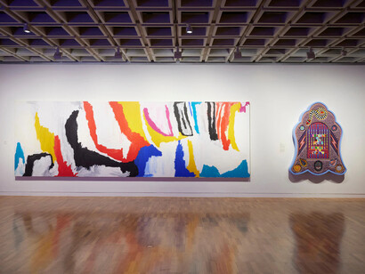 Various artists, High colour, exhibition view. Courtesy of Art Gallery of NSW