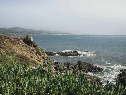 California boasts over 800 miles of coastline with beautiful sights