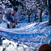 Animating Life. Courtesy of Portland Art Museum