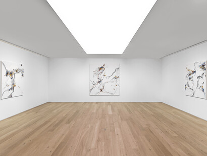 Xiyao Wang's Allongé - Out of Reach, installation view, Perrotin Seoul. Photo by Hwang Jungwook. Courtesy of the artist and Perrotin