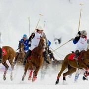 Cortina Winter Polo Audi Gold Cup