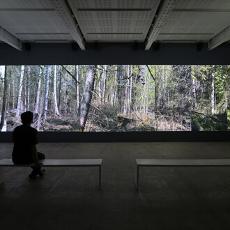 Eija-Liisa Ahtila, On breathing, vue d'exposition. Avec l’aimable autorisation de la galerie Marian Goodman