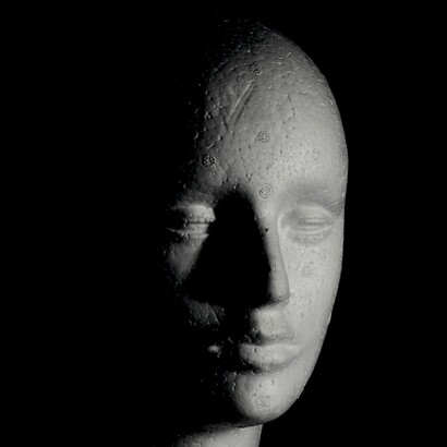 Do Homo sapiens ao cyborg