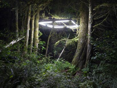 Chris Engman, Shelter, 2016. Courtesy of Luis De Jesus Los Angeles