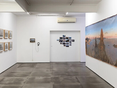 Alberto Baraya. Courtesy of Galeria Nara Roesler
