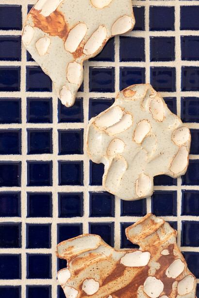 Ilana Harris-Babou, Test tile 5, 2024. Courtesy of Dreamsong Gallery