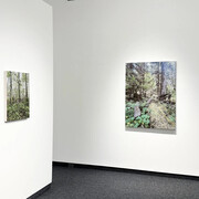 Kirstin Lamb, The woods, exhibition view. Courtesy of Gallery Naga