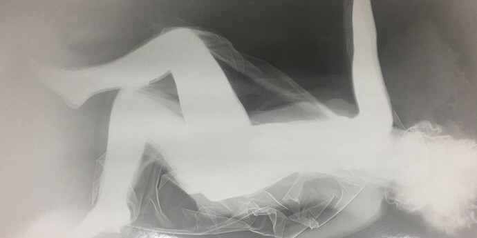 Geologia Doméstica. Courtesy of Casa Triângulo