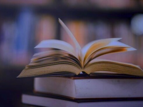 Livros empilhados. Fiquei pensativo. Quando a gente sabe que tem uma montanha íngreme para escalar, adquire a consciência de que precisa se preparar, fortalecer as pernas, se alimentar bem, conhecer as técnicas, aprontar o espírito e capacitar-se para o desafio. E aí dá-lhe esforço, suor e dores, para que seja possível alcançar o objetivo de chegar ao topo




