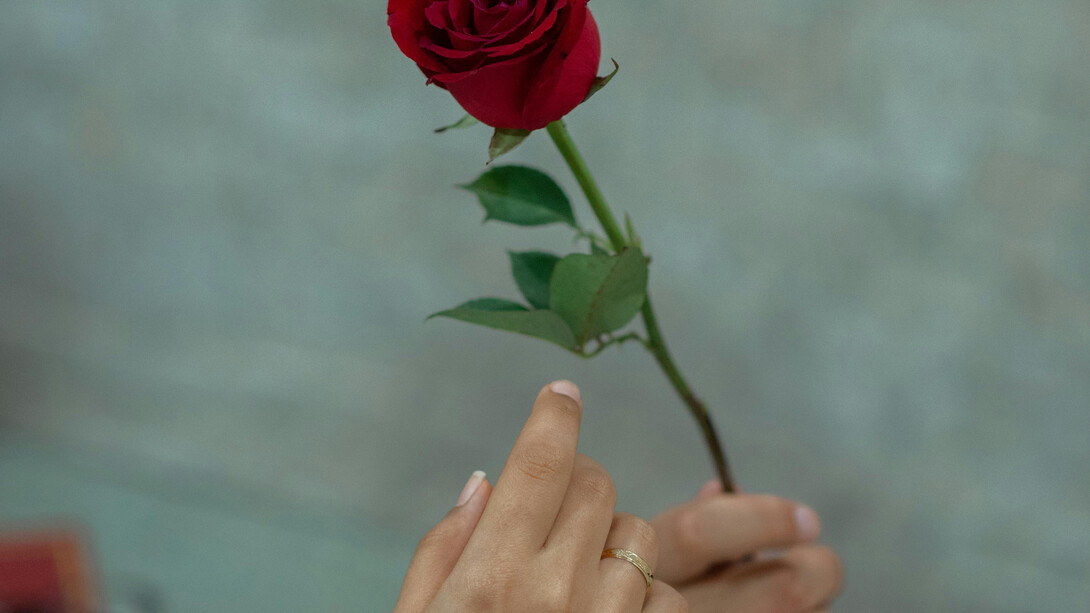 Descubra as diferenças entre o amor herdado, enraizado em tradições familiares, e o amor adquirido, fruto de escolhas conscientes. Entenda como cada um molda nossas conexões emocionais e contribui para nossas experiências de vida