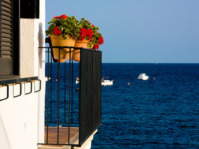 Each day is a new opportunity to enjoy life © Alfonso Romay 