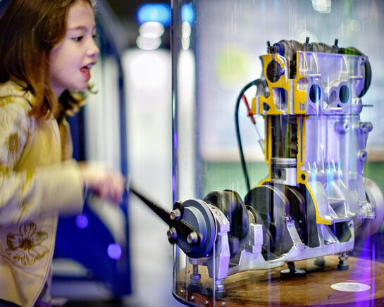 Amazing Constructions. Courtesy of NEMO