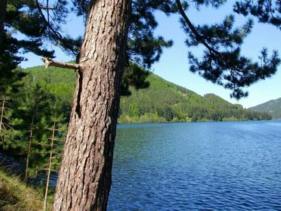 Parco della Sila