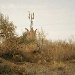 Nadav Kander, Priozersk II, (Tulip in Bloom), Kazakhstan 2011, © Nadav Kander, image courtesy of Flowers Gallery, London and New York