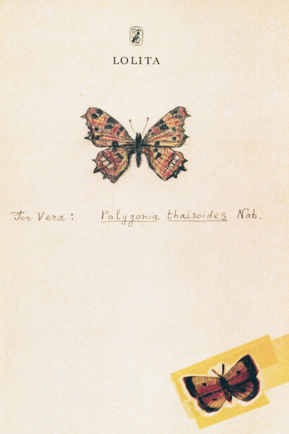 «Polygonia thaisoides». Mariposa ficticia (Nabokov, fecha desconocida)