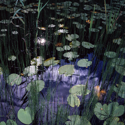 Fluvial. Courtesy of The Finnish Museum of Photography