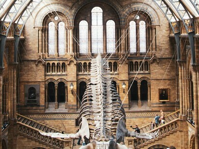 Museu Britânico. Com o avanço da ciência moderna e o desenvolvimento de métodos de catalogação e classificação, essas coleções começaram a se tornar mais sistemáticas e organizadas. Durante os séculos XVII e XVIII, o Iluminismo trouxe consigo uma nova visão de mundo baseada na razão, na observação empírica e na educação pública. Nesse contexto, o museu começou a ser pensado como uma instituição voltada não apenas à preservação, mas também à difusão do saber. Surgiram então os primeiros museus públicos, acessíveis a um número maior de pessoas