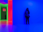 GAM – Galleria Civica d’Arte Moderna e Contemporanea - L’emozione dei Colori nell'arte - Inauguration