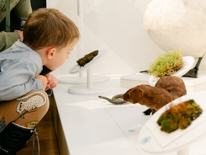 BiodiverseCity? Exhibition view. Courtesy of Estonian Natural History Museum