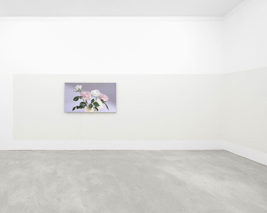 Alejandro Cesarco, Exhibition view. Courtesy of The Renaissance Society