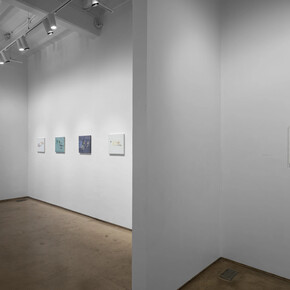  Shikh Sabbir Alam, বনমানুষ, bon-manush, exhibition view. Courtesy of Experimenter