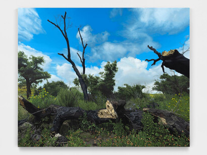 John Seal, Charmlee Wilderness Park 2, 2023. Oil on canvas, 44”h x 54”w (112 x 137cm). Courtesy of Harkawik Gallery