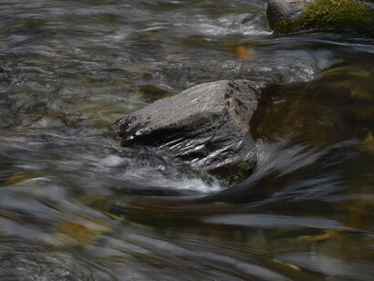 Swirling waters - are they playing, or simply following some human-determined laws of physics? © Ashish Kothari
