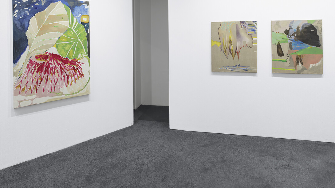 Alejandra Seeber, Installation view. Courtesy: photo by Günter König; the artist and Häusler Contemporary München | Zürich