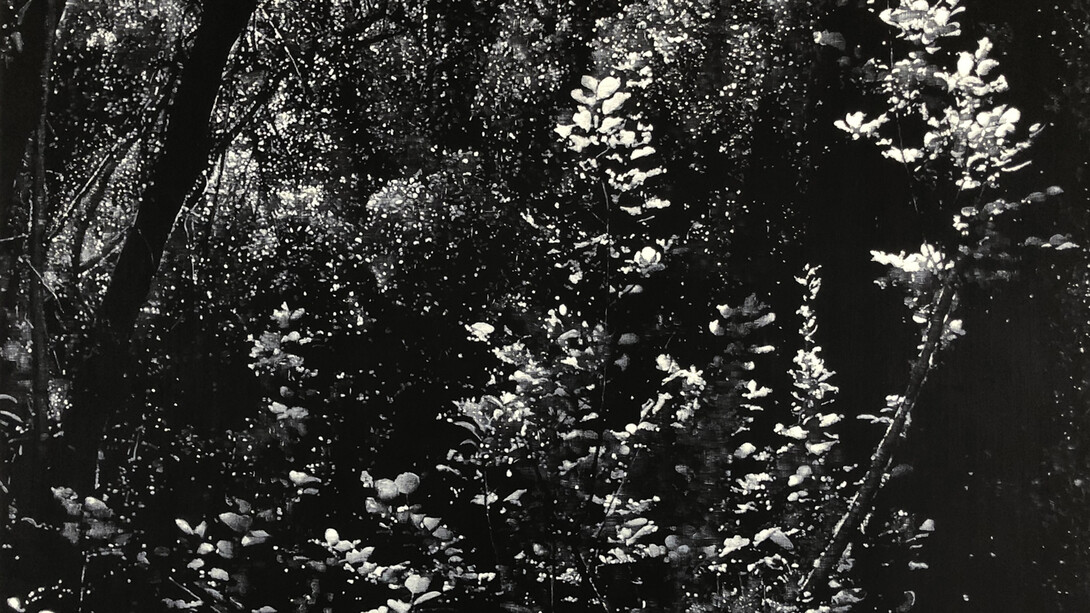 Peter Eastman, Yellow Light, oil on aluminium, 73x98 cm. Courtesy of Barnard Gallery