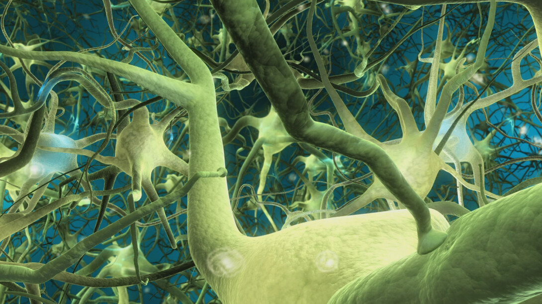 Neuroni
