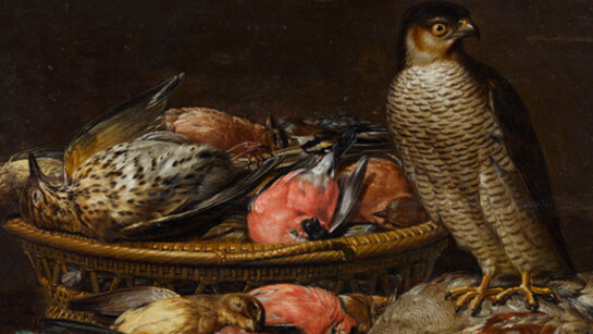 Paintings from the 16th–18th century. Courtesy of Kadriorg Art Museum